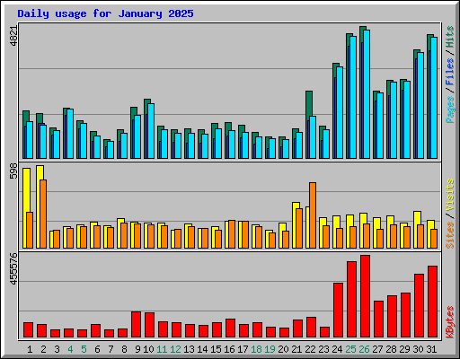 Daily usage for January 2025
