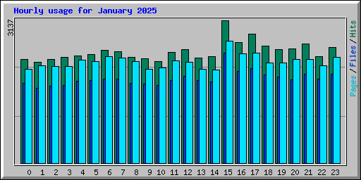 Hourly usage for January 2025