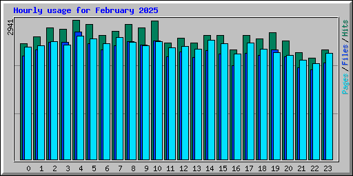 Hourly usage for February 2025