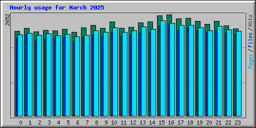 Hourly usage for March 2025