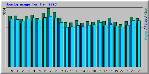 Hourly usage for May 2025
