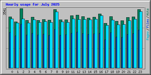 Hourly usage for July 2025
