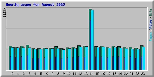 Hourly usage for August 2025