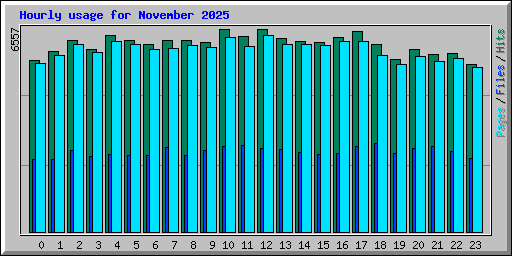 Hourly usage for November 2025