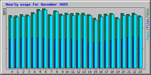 Hourly usage for December 2025