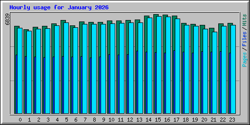 Hourly usage for January 2026