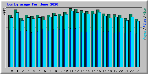 Hourly usage for June 2026
