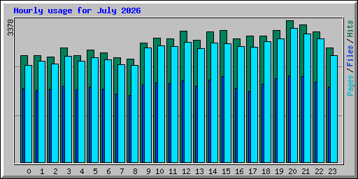 Hourly usage for July 2026